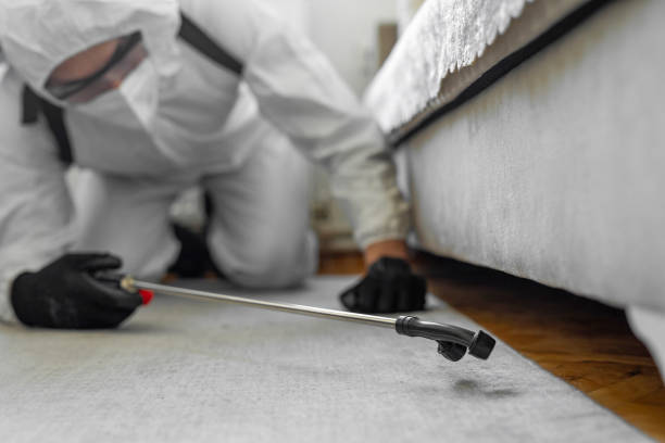 Professional Termite Control technician working in Oxford, IN